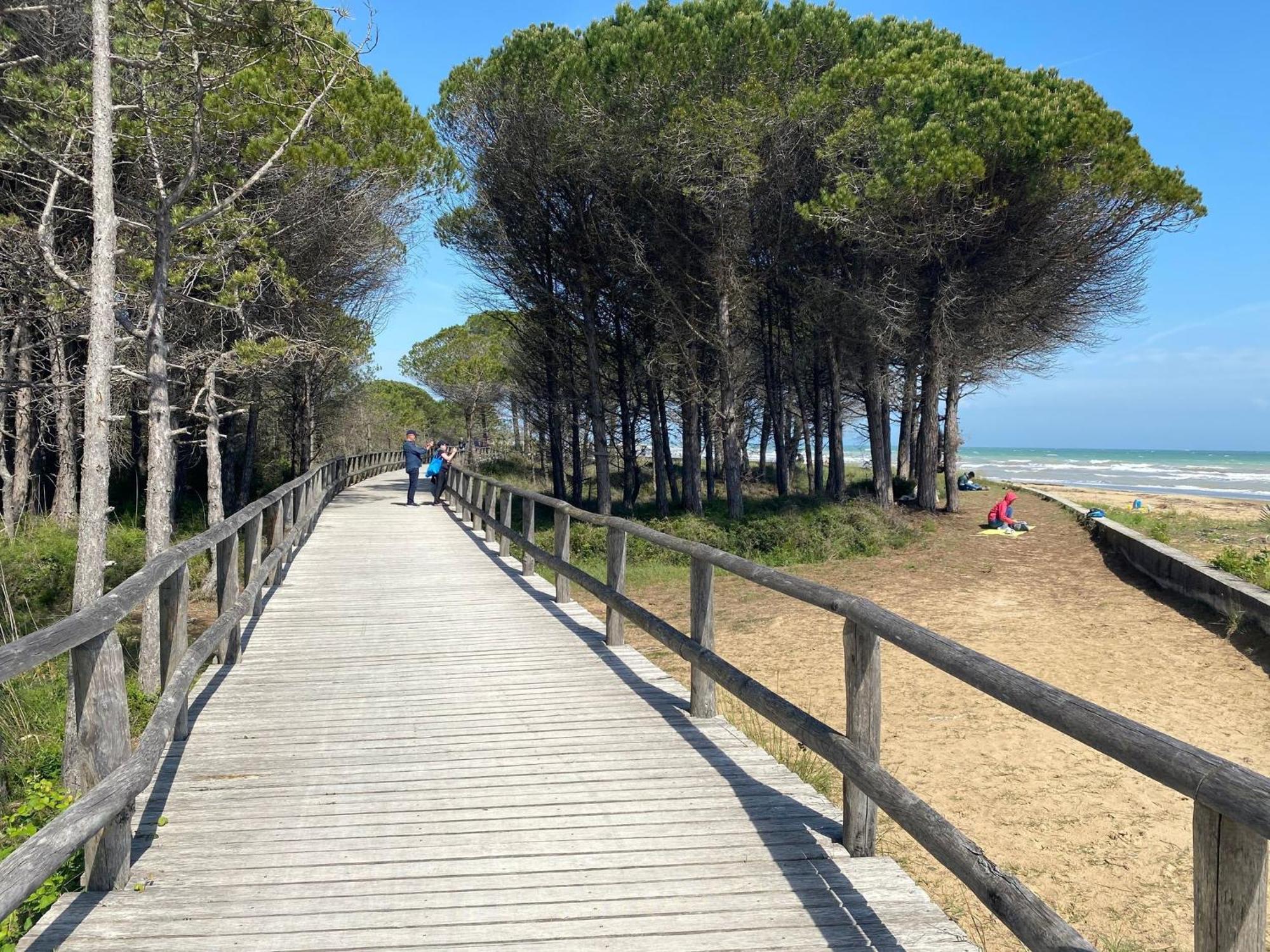 Refurbished One Bedroom Flat With Communal Garden Appartamento Bibione