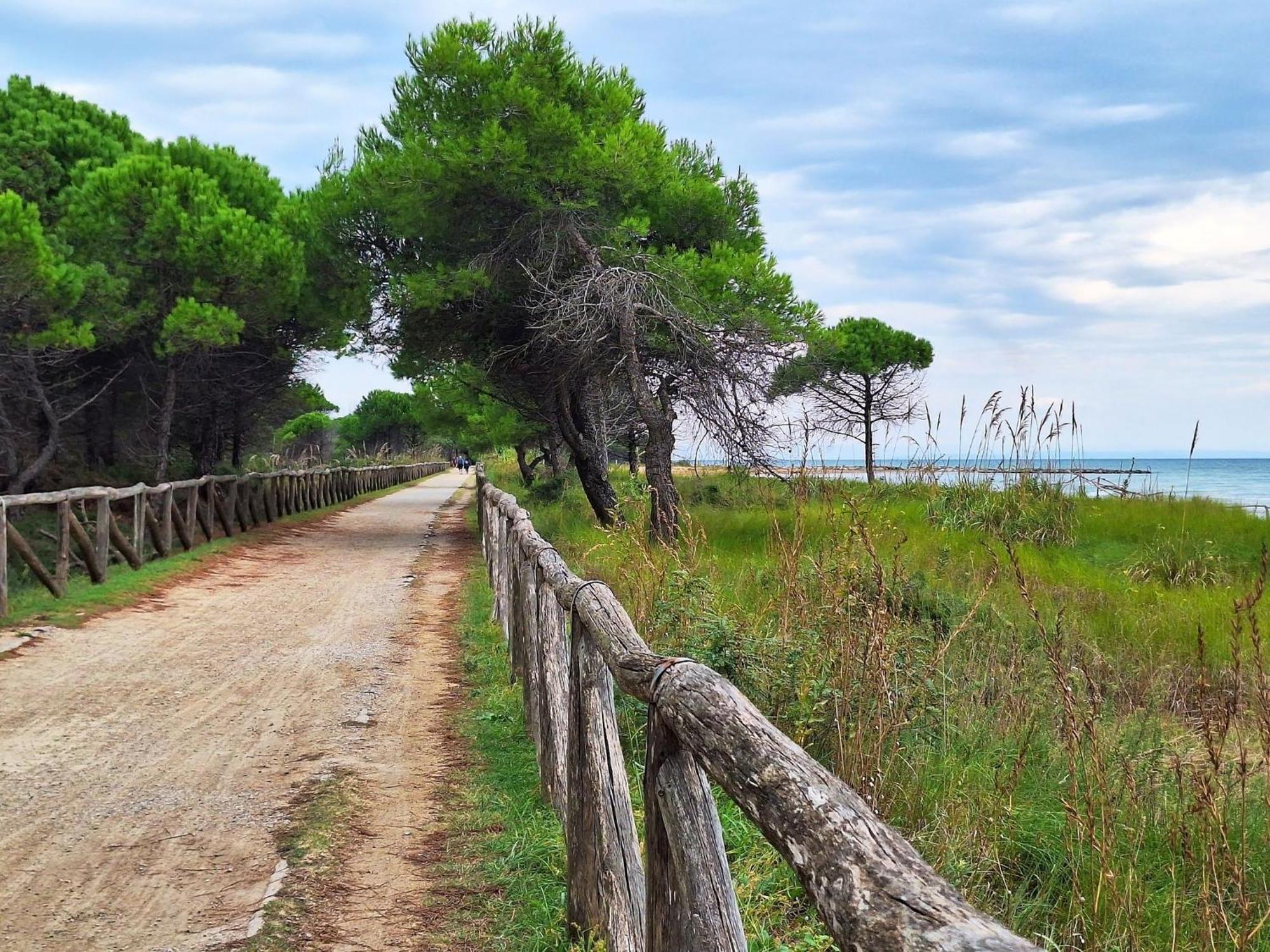 Refurbished One Bedroom Flat With Communal Garden * Bibione